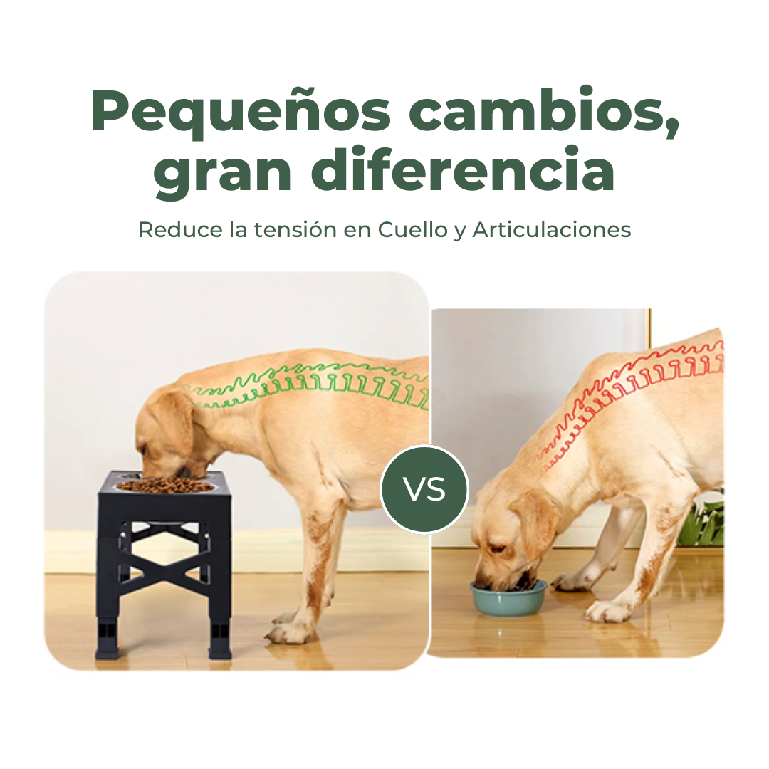 Comedero Elevado Doble